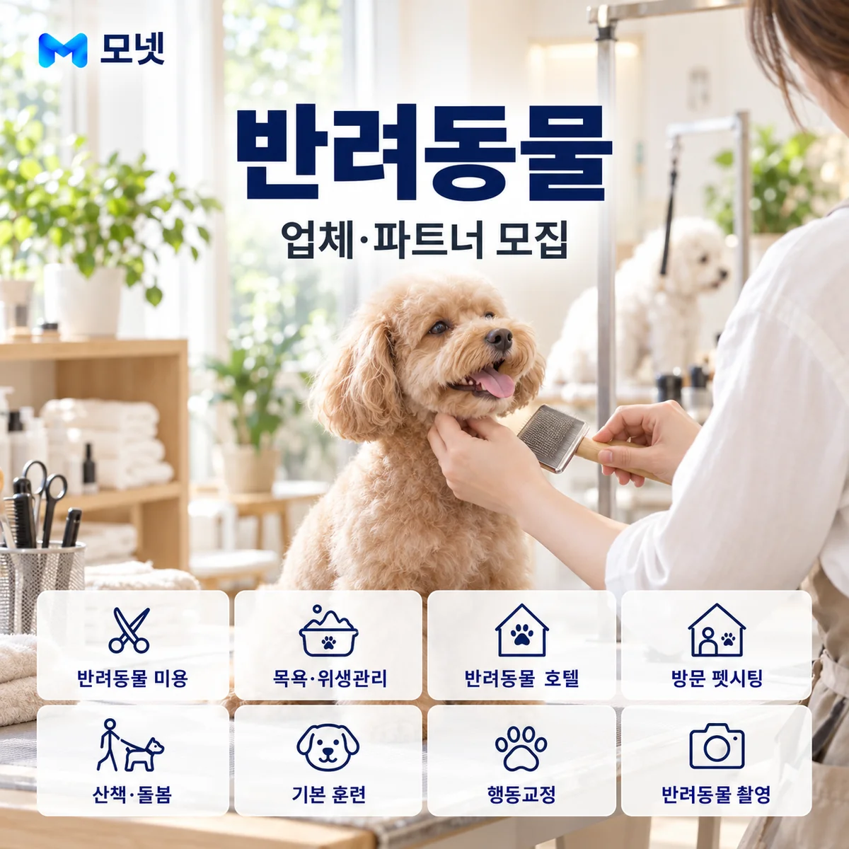 반려동물 업체·파트너 모집 안내