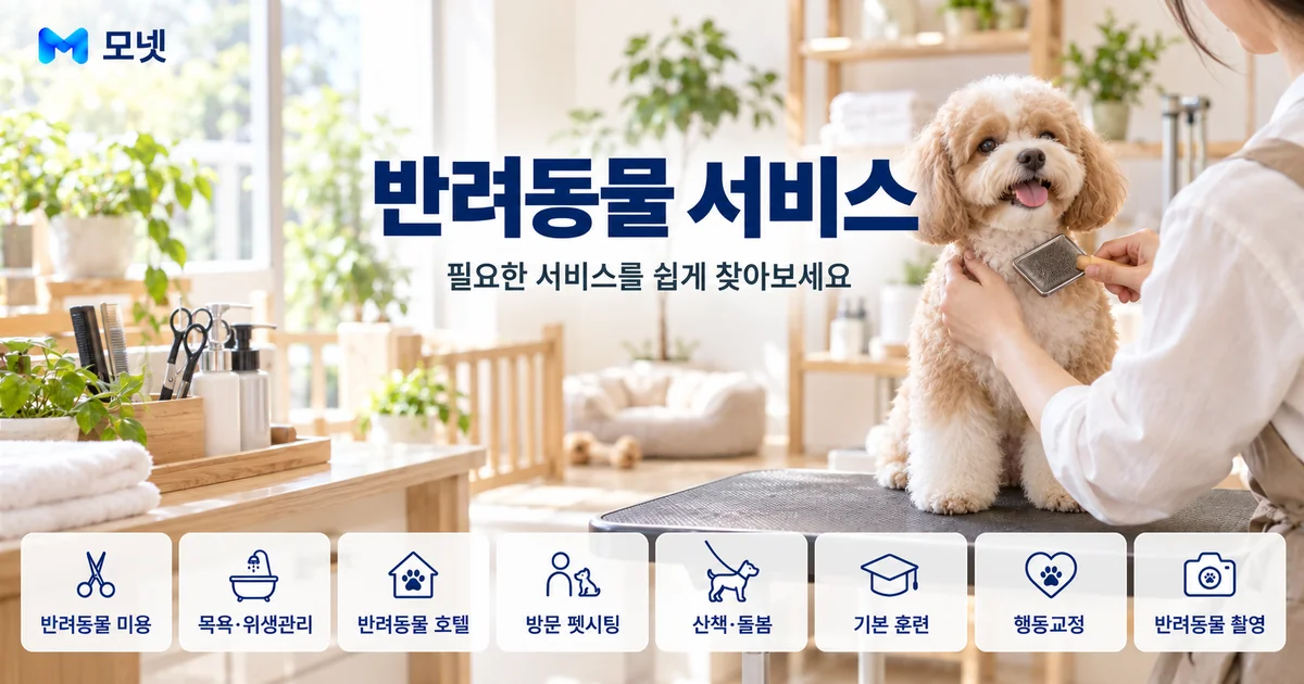 반려동물 서비스 안내 이미지